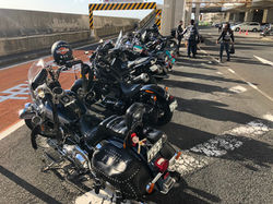 line_422111737312181