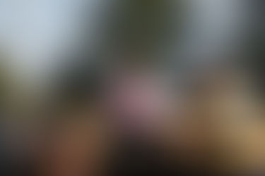 Los jueces de la fecha 6 del TRL