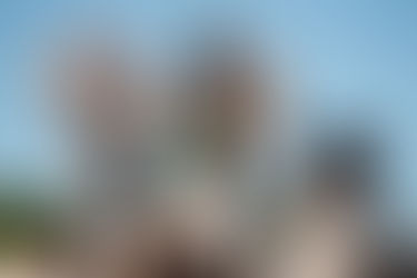 Las alineaciones de la fecha 7 de Primera