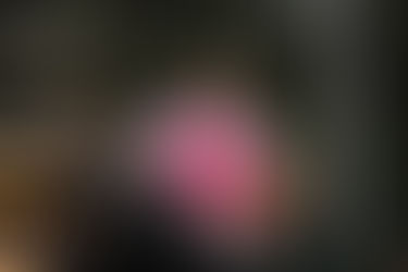 Los árbitros de la jornada del TRL