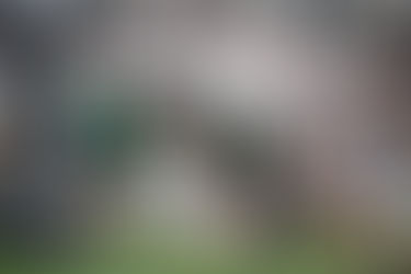 Duendes es finalista del Interior A