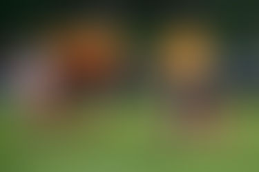 Lo mejor del triunfo de Jaguares por goleada ante Selknam