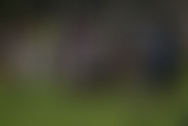 Copa Banco Macro: Formaciones de la Copa de Oro