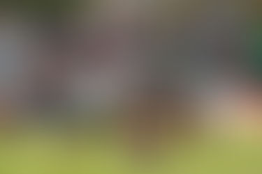 Las formaciones de la fecha 11 del TRL