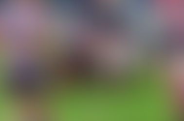 Las formaciones de Primera de la quinta del TRL