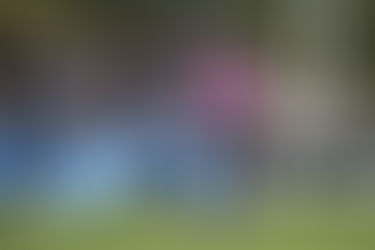 Los árbitros de la fecha del TRL que se viene