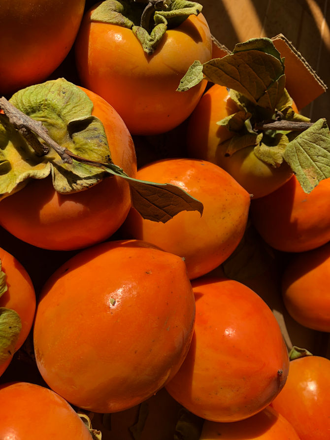 The Most Underrated Fruit in the World