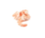 White Cooked Shrimp 31/40 T/Off