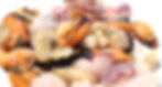 Shellfish, Mollusks, & Cephalopods