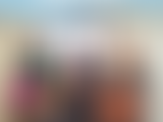 Bijeenkomst stemdocenten opleidingen logopedie