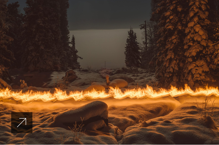© Terje Abusdal.