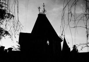 untitled image