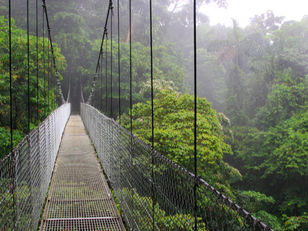 5 Tips for Hiking in the Rain