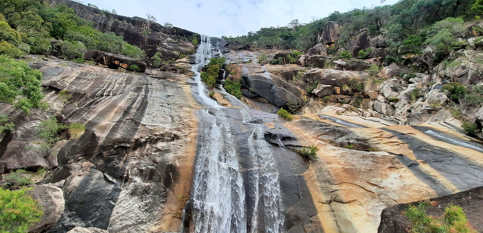 Alligator Creek Falls Return Hike