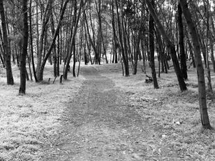 Guide for Beginners, 10 Tips for New Hikers