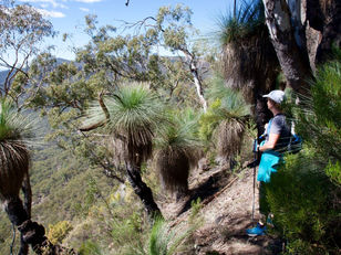A Guide to Hiking for Beginners: Tips and Tricks to Get Started