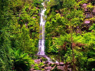 Erskine Falls, Great Otway Day hike