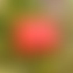 Kathmandu Survival Kit v2 Review