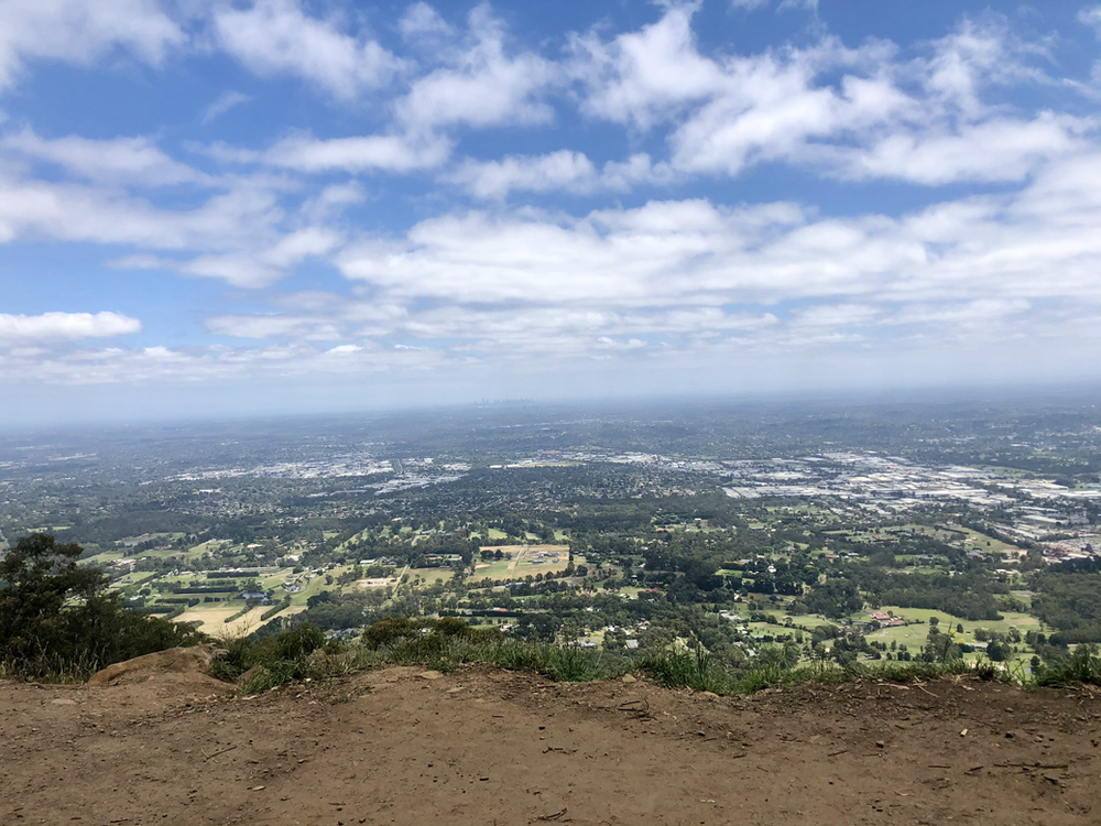 Mount Dandenong Western Slopes Day Hike