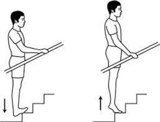 Calf raises - on stairs.jfif