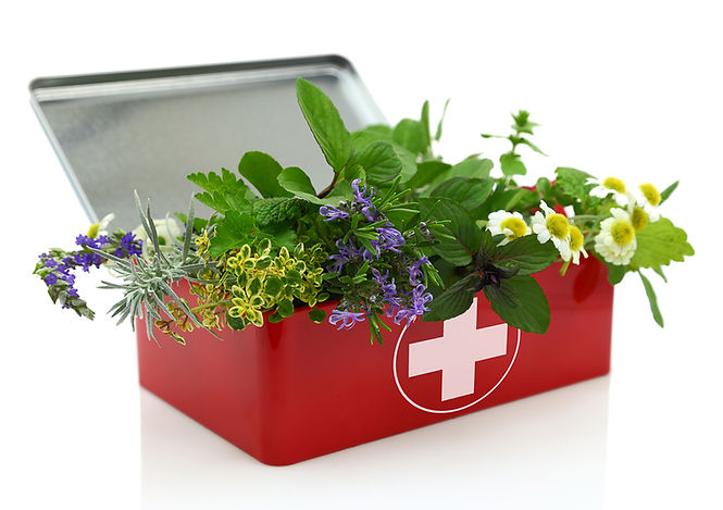 Fresh-herbs-in-first-aid-kit.jpg