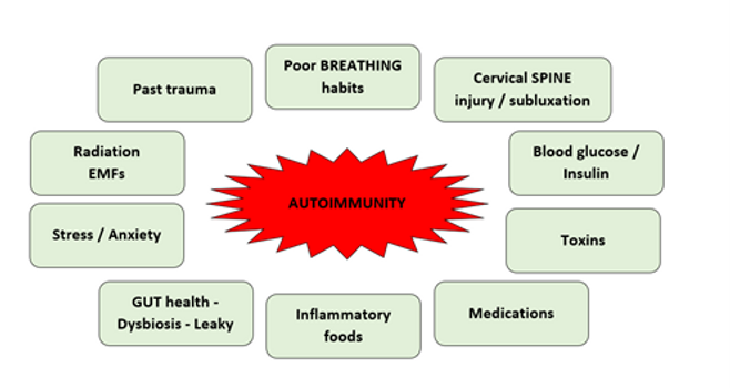 AUTOIMMUNITY | Dr Adele Pelteret - NATUROPATH