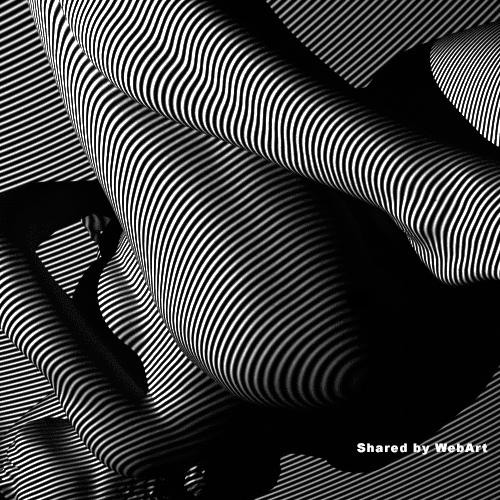 Black and White Nude Art