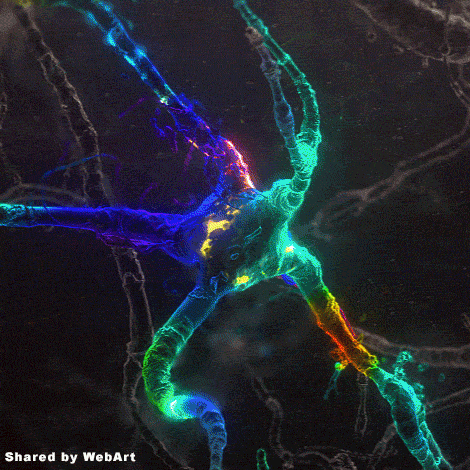 Neuron Color Motion