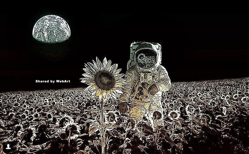 Space Cowboy Digital Art