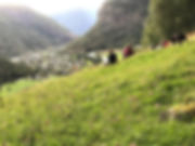 thumbnail (2).jpeg