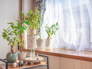 「いつも通り」を見直してみませんか？