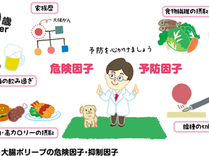 絶対に放置してはいけない大腸がん