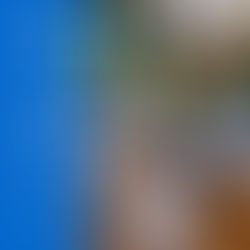 Paws 4 Life Challenge - BWBR Fundraiser