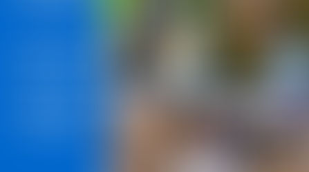 Paws 4 Life Challenge - BWBR Fundraiser