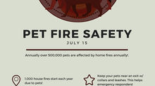 Pets & Fires