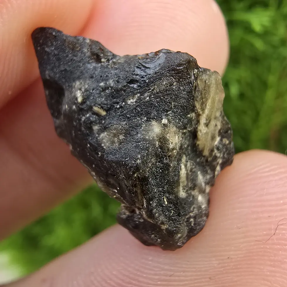 Darwin Glass/Darwinite 2.22g