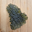 Thumbnail: Moldavite 3.7g 