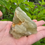 Thumbnail: Libyan Desert Glass 147.5g (hagstone)