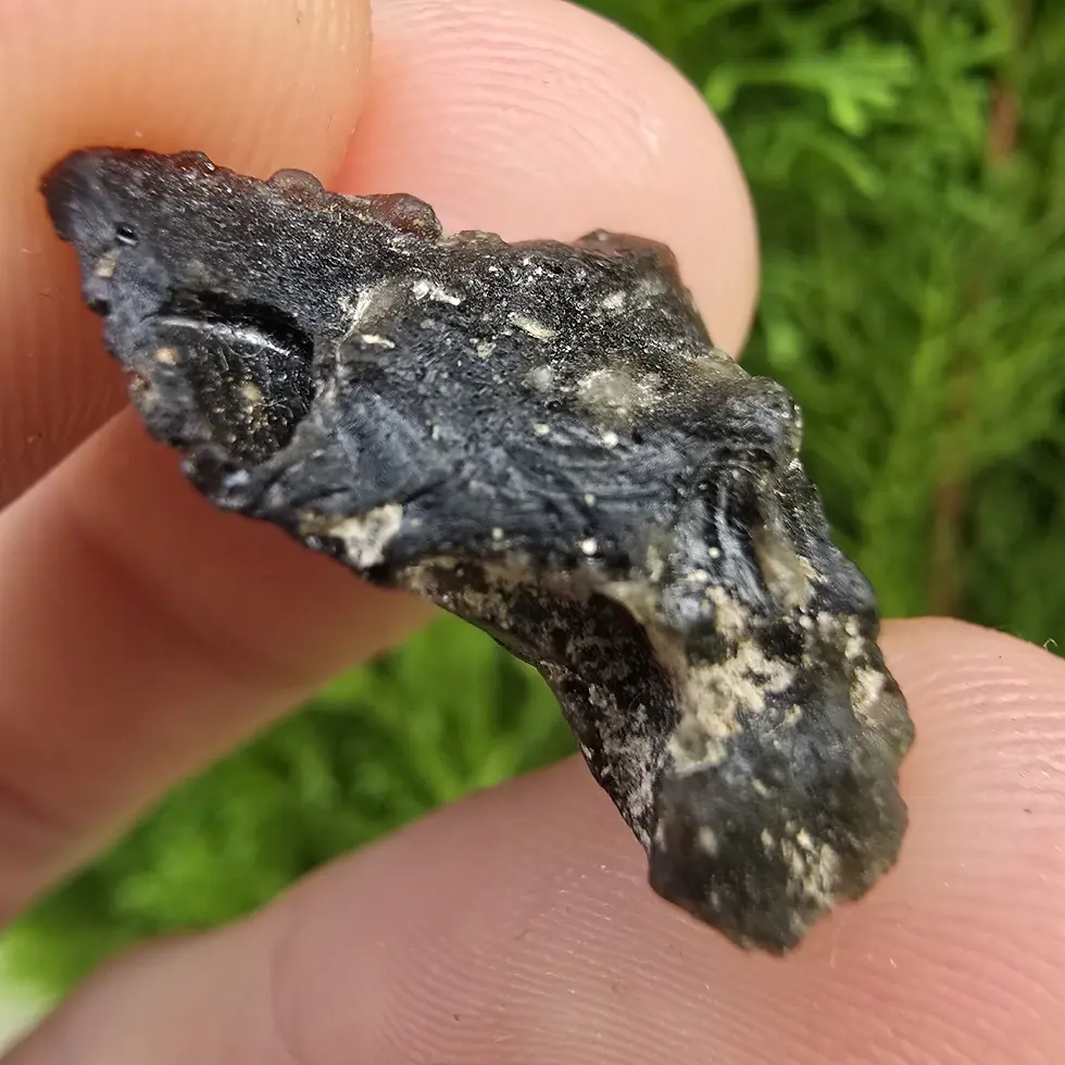 Thumbnail: Darwin Glass/Darwinite 2.22g