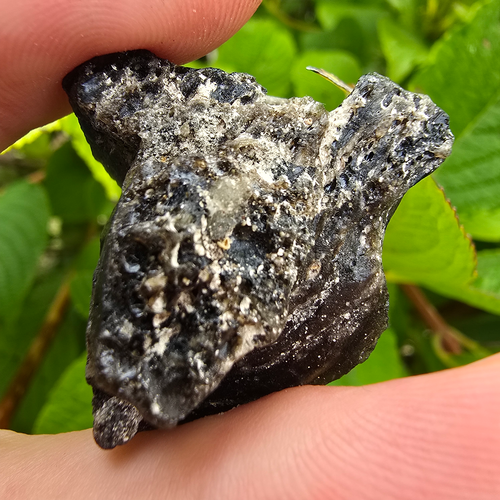 Thumbnail: Rough Philippinite tektite held in hand