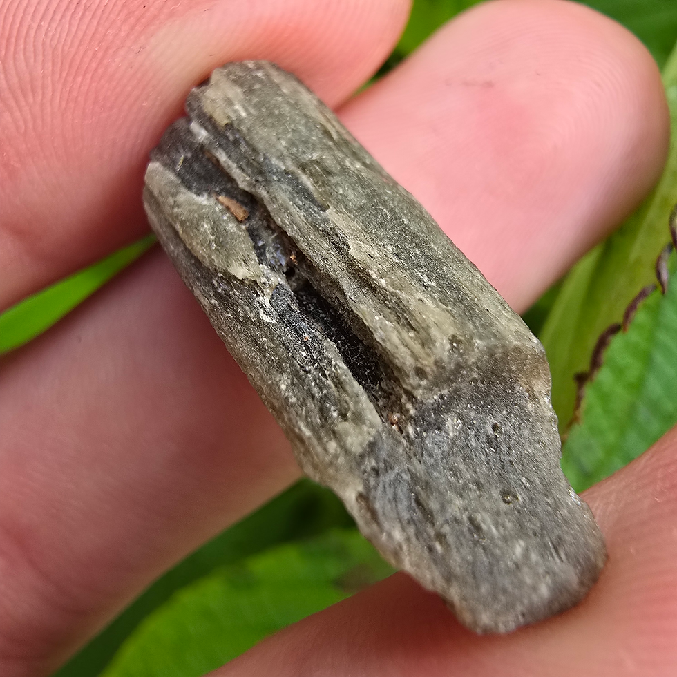 Thumbnail: Darwin Glass 2.97g
