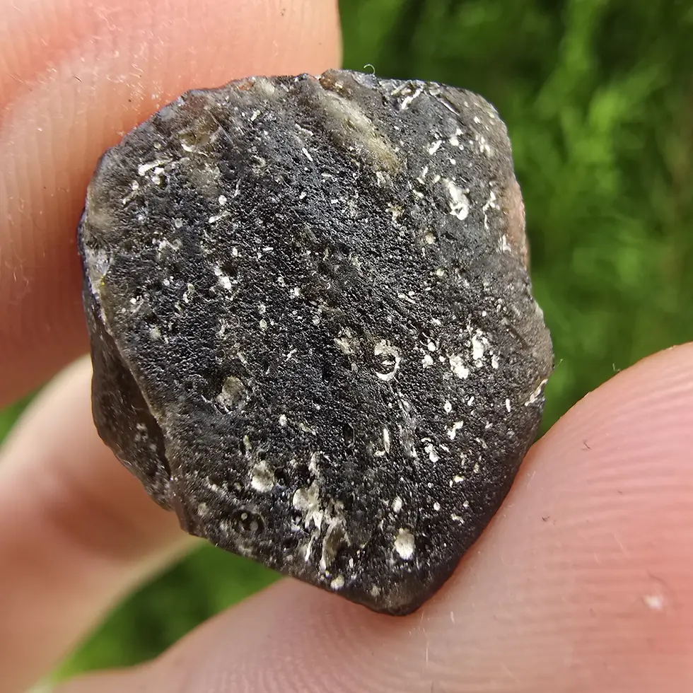 Thumbnail: Darwin Glass/Darwinite 2.66g