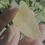 Thumbnail: Libyan Desert Glass 15.22g