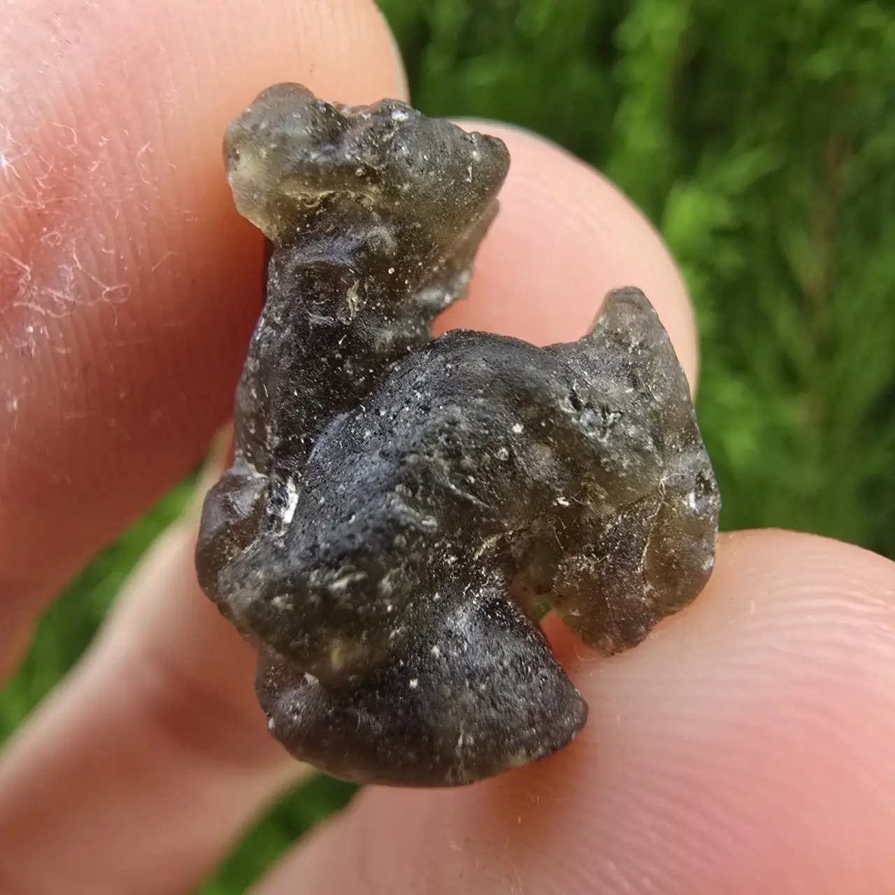 Darwin Glass/Darwinite 1.82g