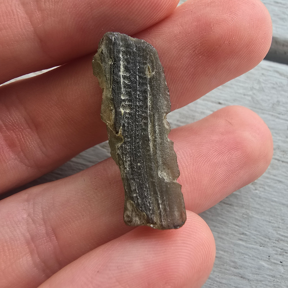Thumbnail: Hand holding a dark, ridged Vietnam Indochinite Tektite