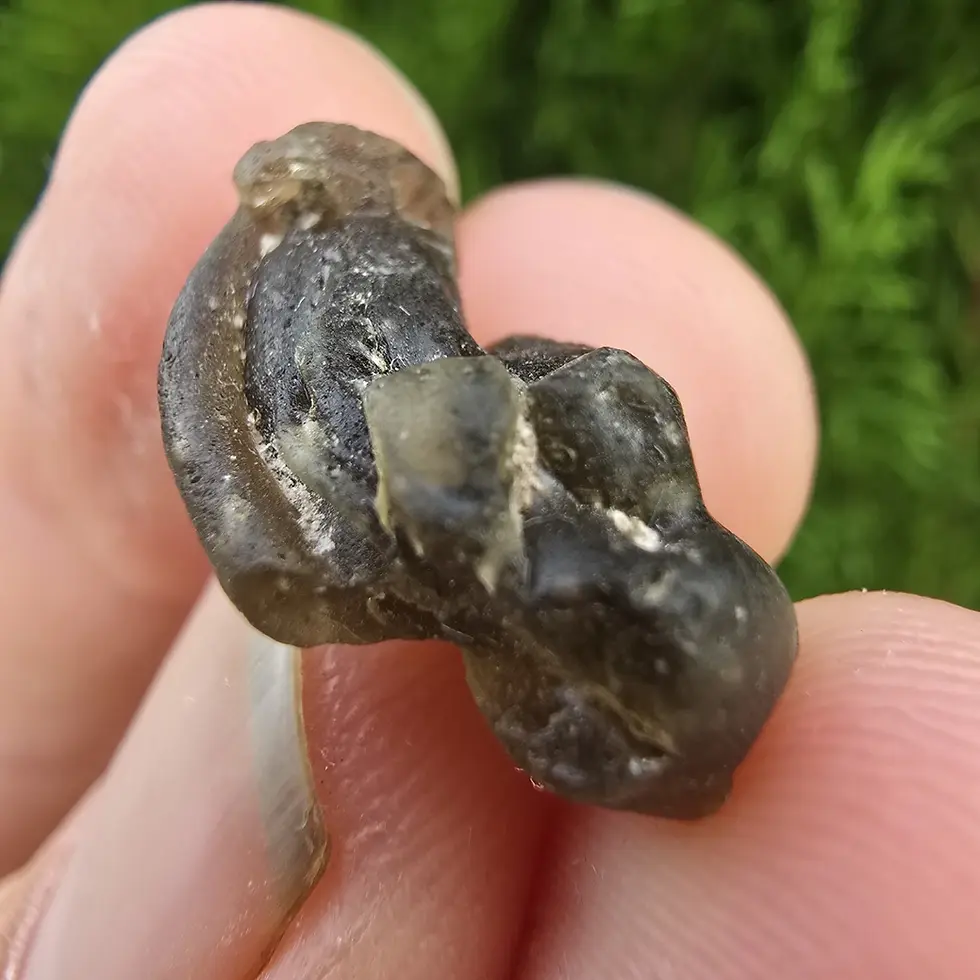 Thumbnail: Darwin Glass/Darwinite 1.82g
