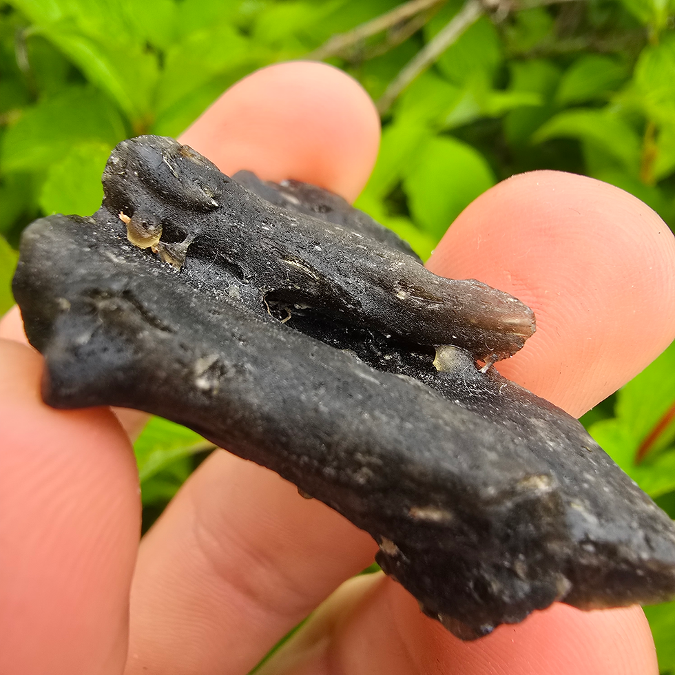 Thumbnail: Hand holding dark, textured Moldavite