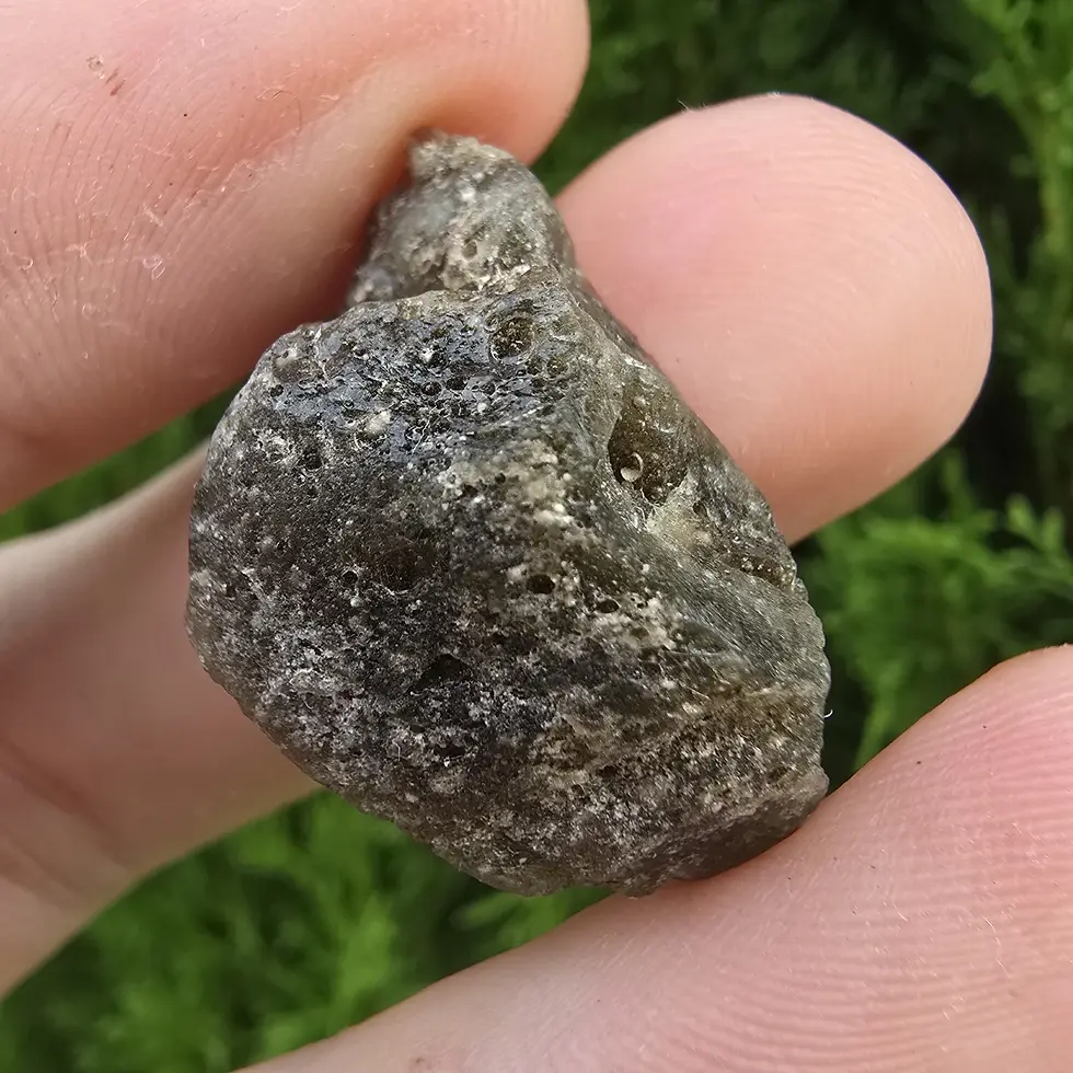 Thumbnail: Darwin Glass/Darwinite 4.94g