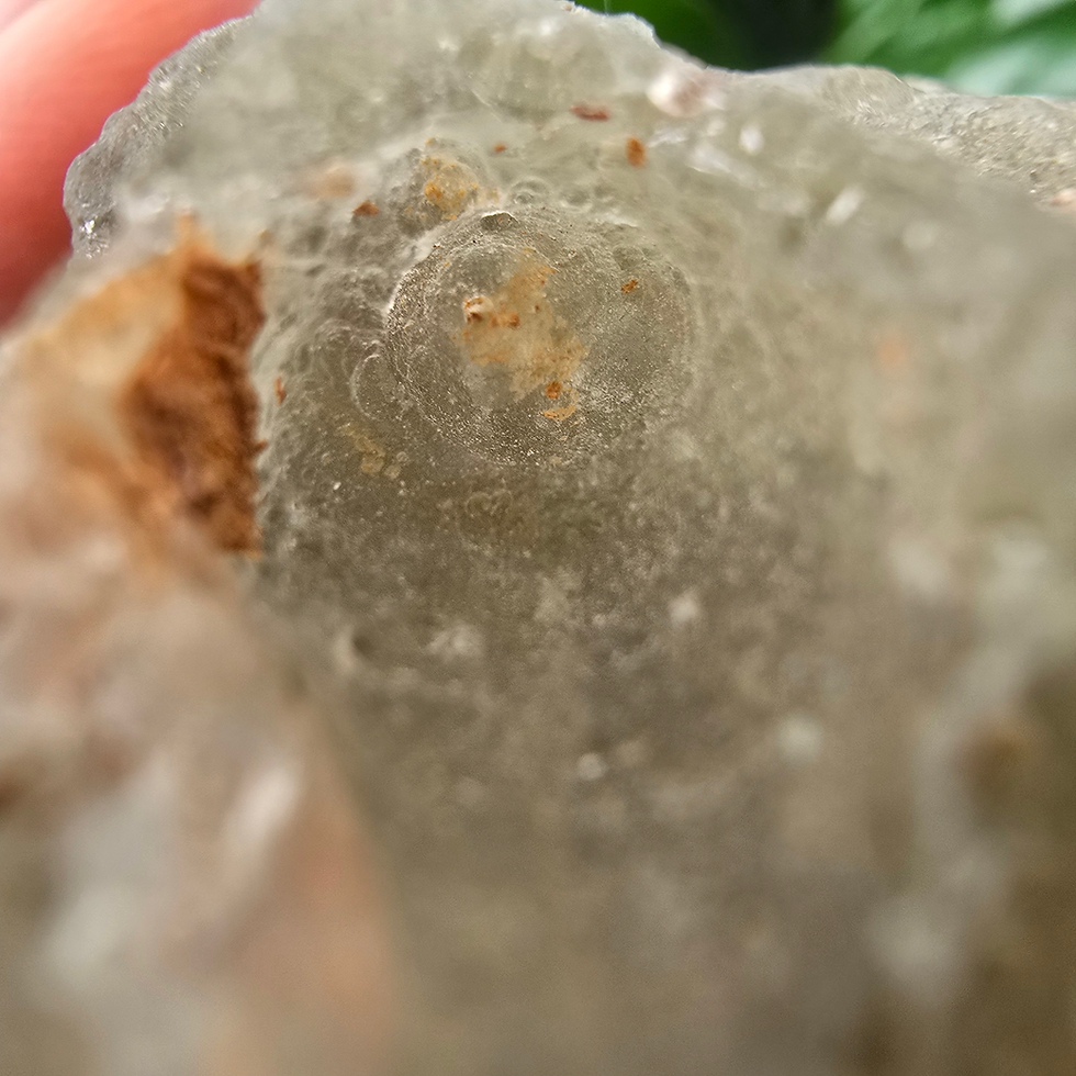 Thumbnail: Close-up of Vietnam Indochinite Tektite