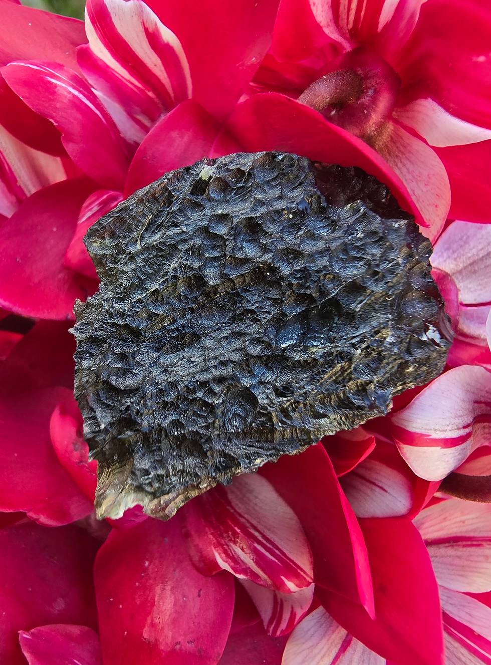 Thumbnail: Buy genuine moldavites online New Zealand.